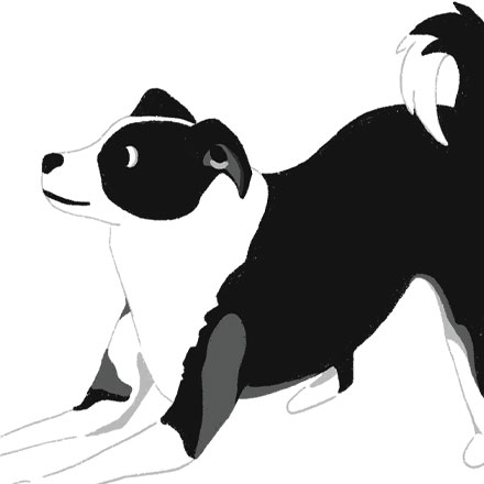 illustration of a black and white dog