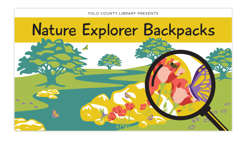 Nature Explorer Backpacks branding with colorful vector illustration of a river, rocks, trees, wildflowers and different pollinators