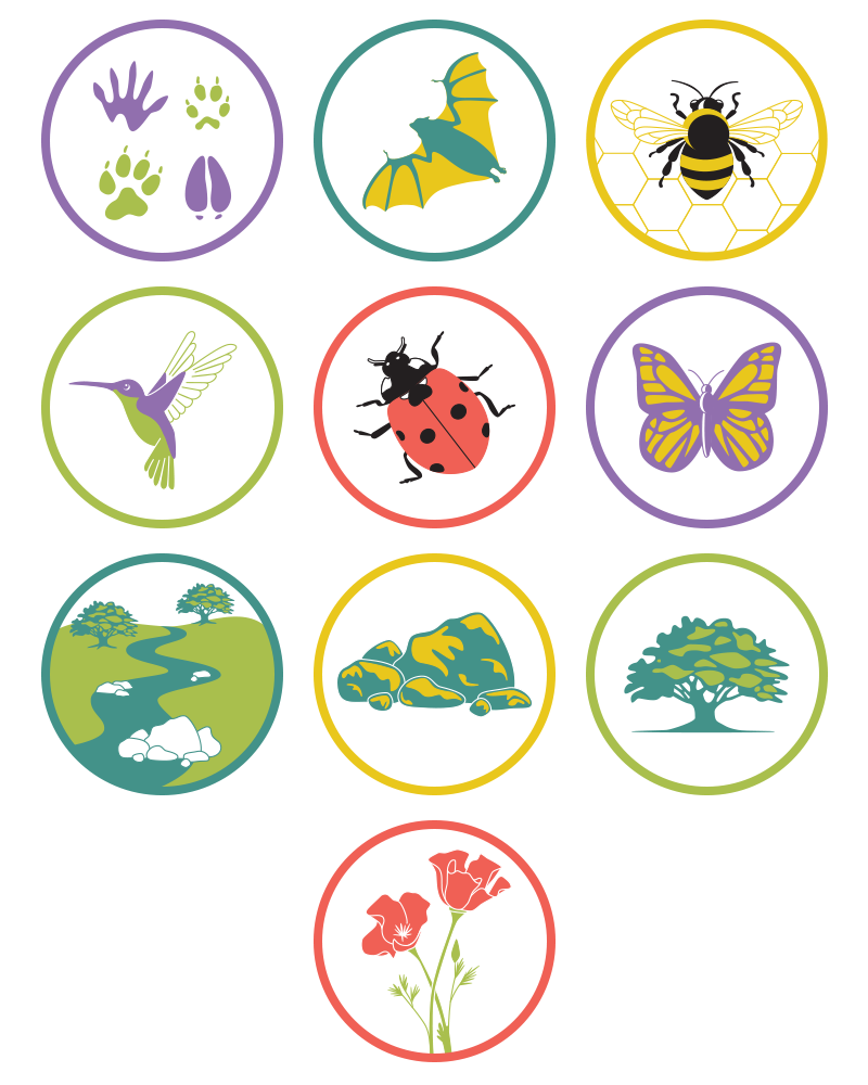 Nature Explorer Backpacks icons