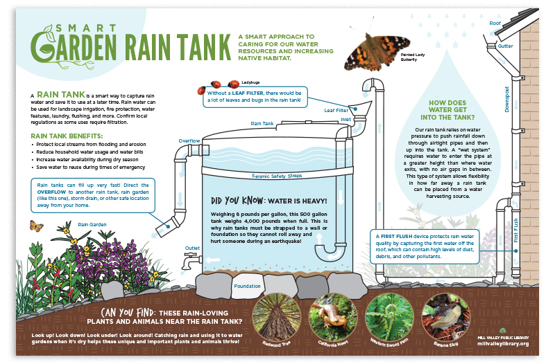 SmartGarden Rain Tank interpretive sign featuring a diagram of the
rain tank with labels and additional information about the rain tank and
what can be found there